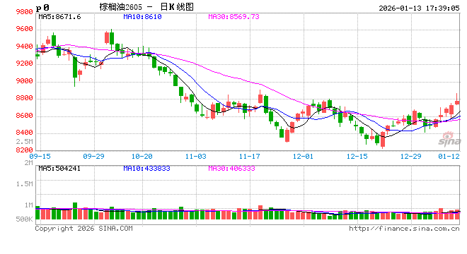 光大期货0113热点追踪：棕榈油5连阳，反弹还是反转？  第2张