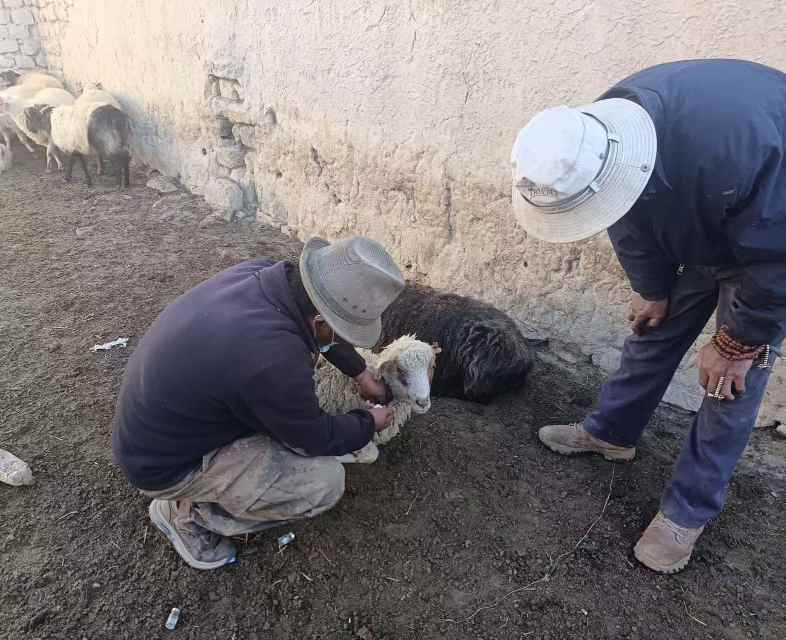 风雪中的太保守护  第2张