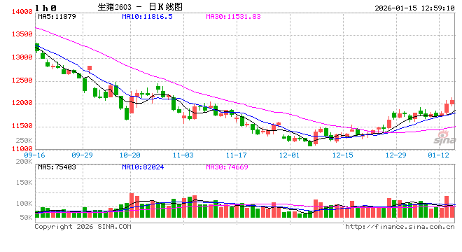 年度总结：2025年猪价震荡下滑后翘尾，2026是否曙光将至  第2张