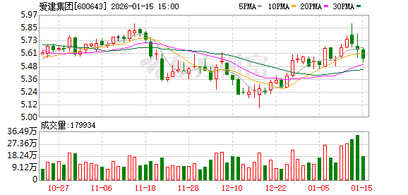 爱建集团：2026年2月2日召开2026年第一次临时股东会  第1张