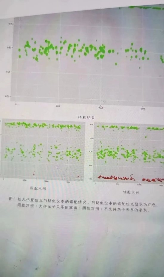 谭珺老师和杨冬基金经理的瓜  第4张