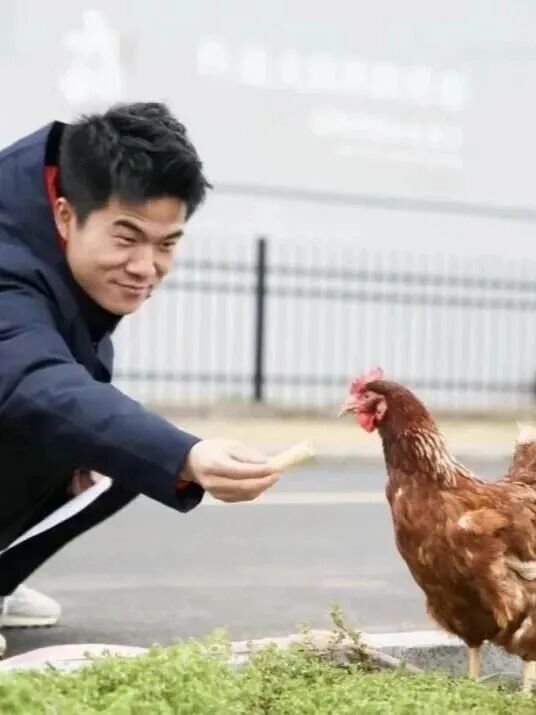 从“三只羊”到“三只鸡”:董宇辉老师,您该卖什么给“丈母娘”? 第1张 从“三只羊”到“三只鸡”:董宇辉老师,您该卖什么给“丈母娘”? 第1张