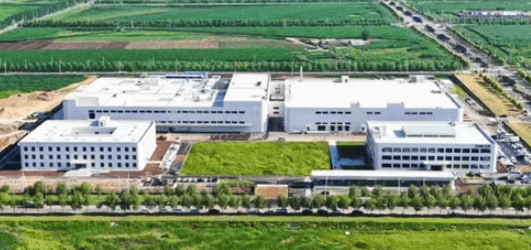 中之杰“冻梨+粘豆包”杀疯了！居然在全国春节食品榜拿下第一  第9张