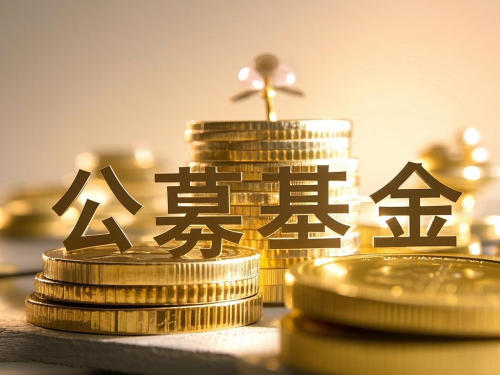 公募集体发声：彰显专业价值，让科创企业与耐心资本“双向奔赴”  第1张