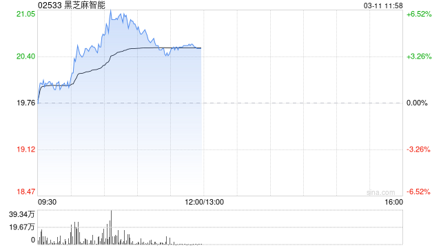 黑芝麻智能午前涨逾4% 近日6.31亿港元战略配售落地  第1张