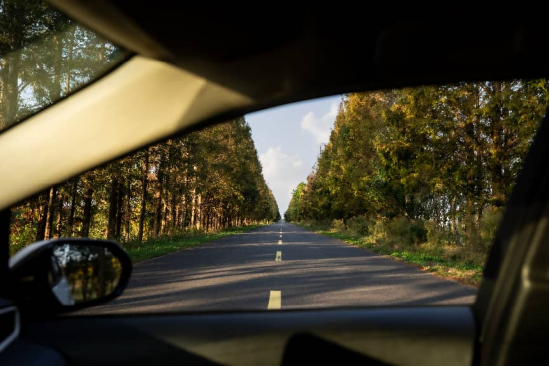 在东滩，越来越多的上海家庭开始“认真”过周末  第8张