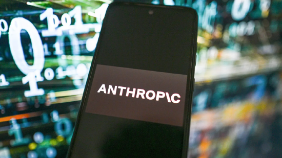 Anthropic正在测试一款强大新模型,网络安全板块个股下跌 第1张 Anthropic正在测试一款强大新模型,网络安全板块个股下跌 第1张