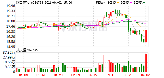 巨星农牧：公司持续聚焦生猪养殖业务主航道  第1张