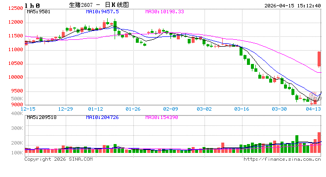 快讯：生猪主力合约日内大涨4.00%，现报9545.00元/吨  第2张